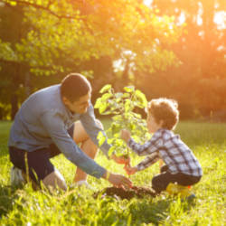 A Father and Son in the garden looking after a small tree - illustrating the importance of criminal injuries compensation after a criminal injury