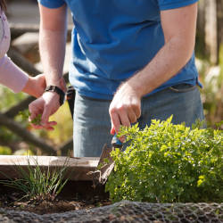 A person with a brain injury gardening with his carer illustrating Criminal Injuries Compensation Authority claims and Jim's story