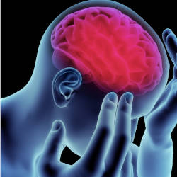 An x-ray type image of a person with the brain highlighted in red, illustrating Functional Neurological Disorder