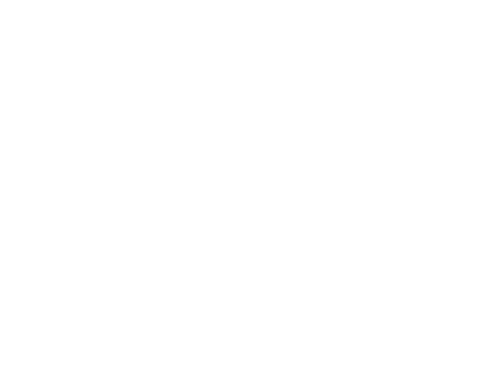 Brain Injury Group