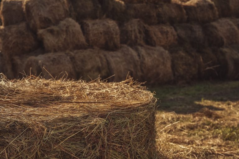 Hay bales and a potential brain injury claim